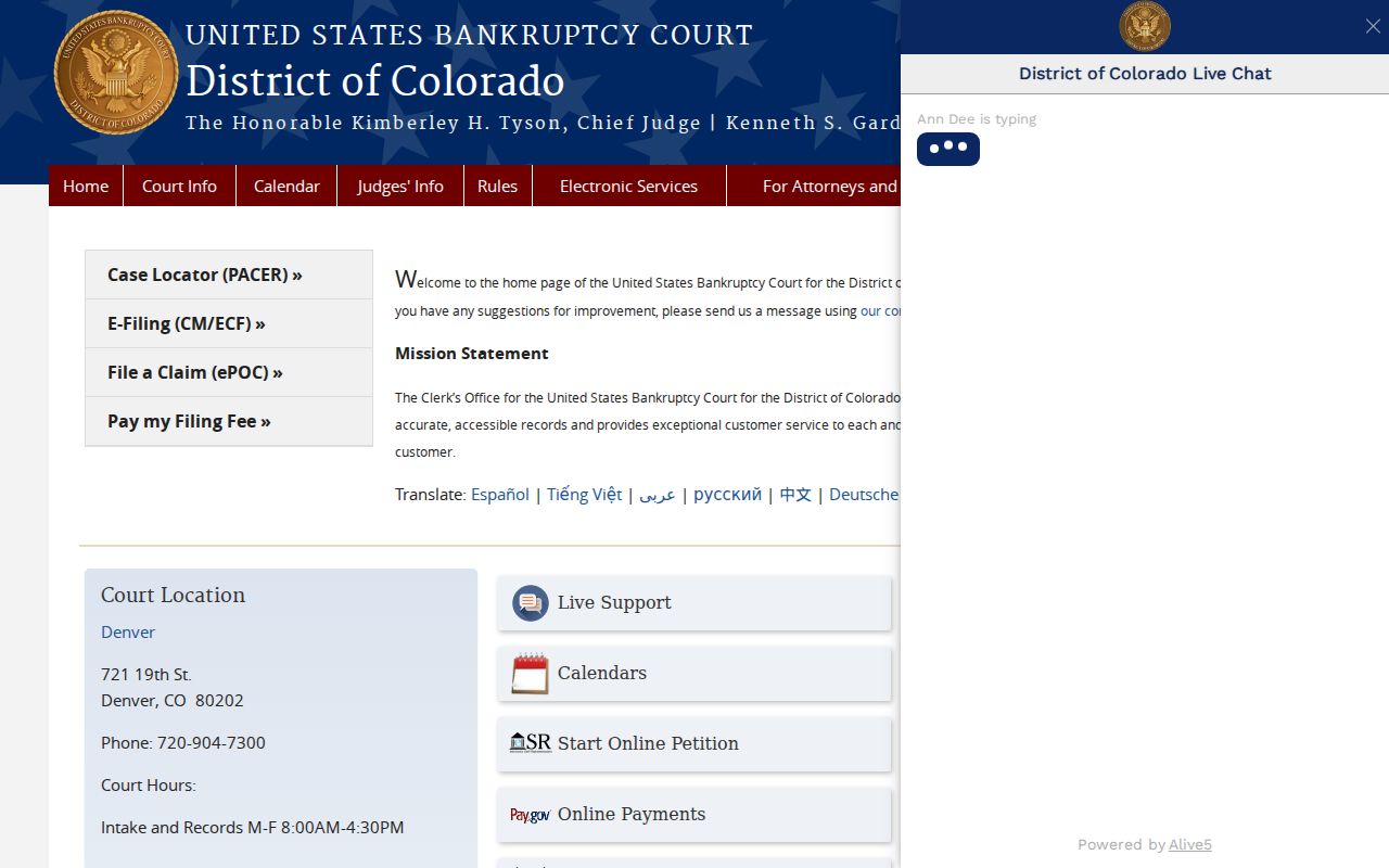 Hinsdale County probate records and Colorado bankruptcy court homepage